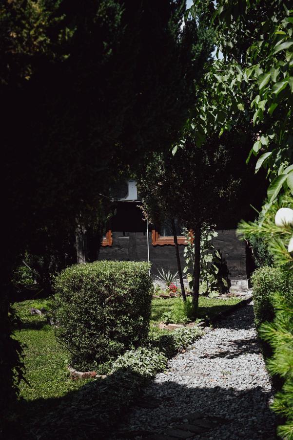 Apartment House For Rest Juliet