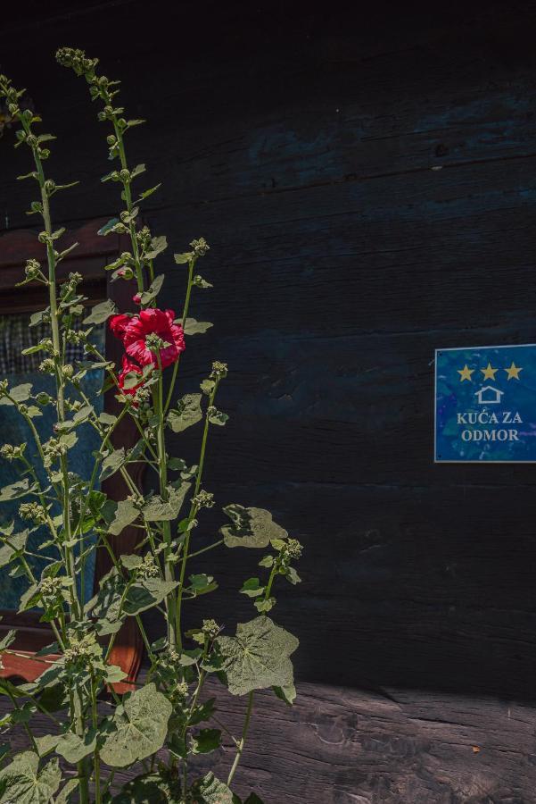 House For Rest Juliet Apartment Velika Gorica